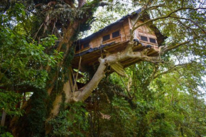 Kumbuk Tree House Yala